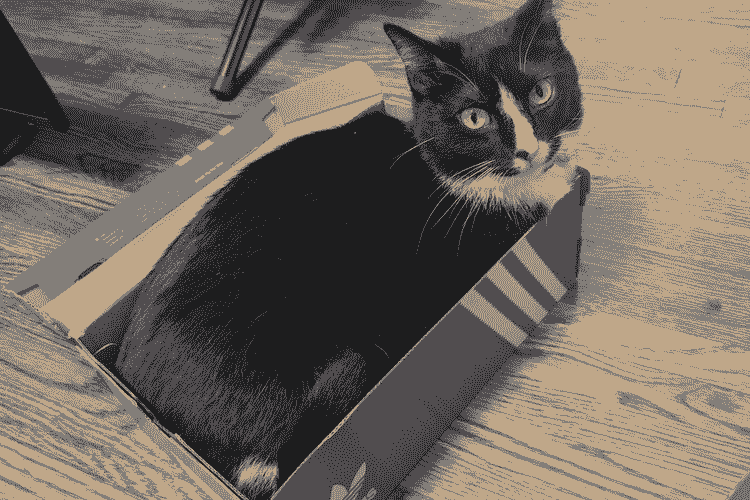 a cat sitting in a box